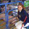 Bridget Simas took first place in her class with her hog Wilbur.