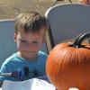 This youngster, Henry, picked out a plump pumpkin and begins to apply a myriad of colors.