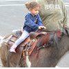Pony rides were available for youngsters.