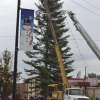 The Lemoore Christmas tree goes up.