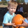 Henry's got a pumpkin picked out.