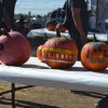 Pumpkins drying.