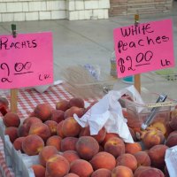 Bargains for peaches can be had at the Farmers' Market.