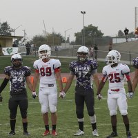 Tigers and Bears during pre-game.