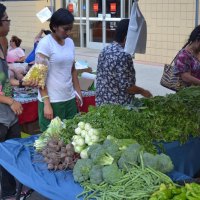 Vegetables for sale at a good price.