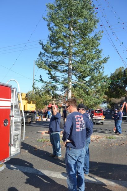 Lemoore Volunteer Fire Department puts on show as firemen raise annual Christmas tree The Lemoore Volunteer Fire Department spread holiday cheer with the raising of the Christmas Tree on Sunday.