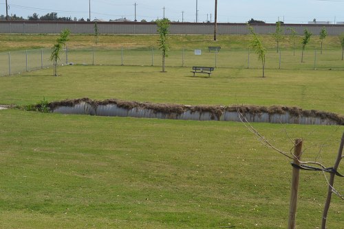 Kings Lions Park dog areas to be closed as crews begin repair of underground drain pipe Kings Lions park will be partially closed to repair an underground drainage pipe.