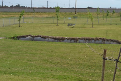 Kings Lions park will be partially closed to repair an underground drainage pipe.