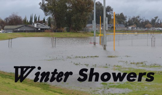 Steady rains  began filling up city ponding basins, including this one at the Kings Lions Park off 19th Avenue.